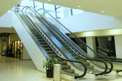 Metropolitan Int 22