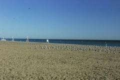 Ontario Beach